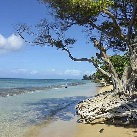 Polynesian Shores 118 Кахана Экстерьер фото